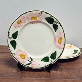 2x Gebaksbordjes Ø 16 cm -  Villeroy & Boch Wild Rose