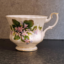 Royal Albert - Mayflower - Heren Kopje