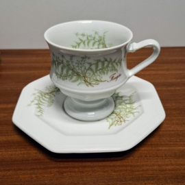 Vintage Villeroy & Boch Kop en schotel - Sommerfarn
