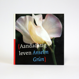 Anselm Grun - Aandachtig Leven