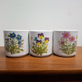 3 Voorraadpotjes of Bloempotjes – Bloemen