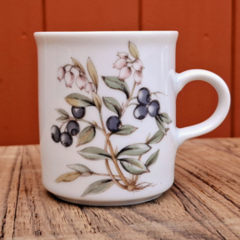 Kopje - Winterling - Bosbes