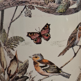 Blikje Bos – Herfst – Vogels