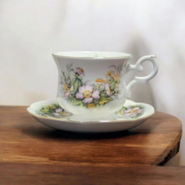 St. James  Kop & Schotel