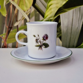 Kop en Schotel - Winterling - Bramen