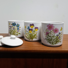 3 Voorraadpotjes of Bloempotjes – Bloemen