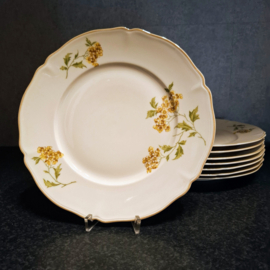 Diner Bord - Hutschenreuther Selb – Geel Bloemenpatroon – Jaren 50 – 70 – Ø 25,5 cm