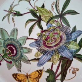 Bord Ø 26,5 cm – PASSIFLORA CAERULEA blue passion flower - The Botanic Garden