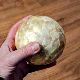 Decoratieve Bol met Parelmoer Look