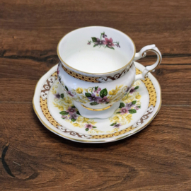 Elizabethan Kop & Schotel