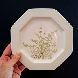 Vintage Villeroy & Boch - Sommerfarn - Bord