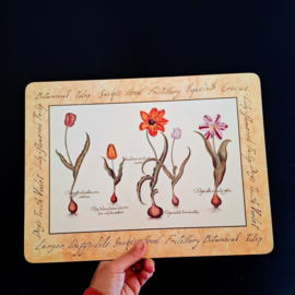 Placemat - Onderzetter met Tulpen