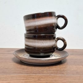 Vintage Kop en Schotel 2 Kopjes en 1 schotel
