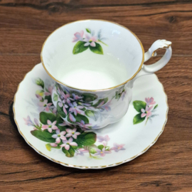 Royal Albert - Mayflower - Dames Kop & Schotel