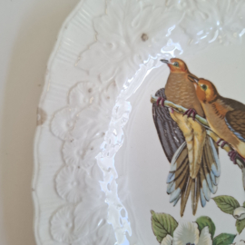 Alfred Meakin - Birds of America - Bord - Verzamelen