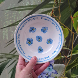 Schaaltje Libelle - Marjolein Bastin - Forget me not