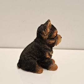 Beeldje van een Yorkshire Terrier-puppy