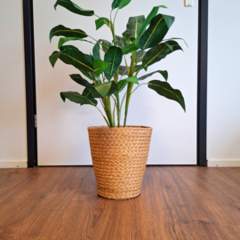 Prullenbak - Plantenmand - Mand