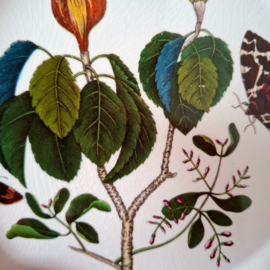 Bord Ø 26,5 cm – HIPPOMANE MANCINELLA manchineel tree - The Botanic Garden