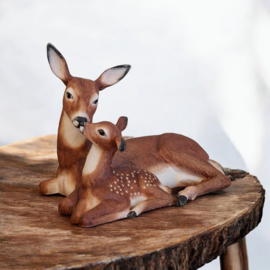 Tender Moment by Nicholas Wilson - The National Wildlife Federation - Beeld - Hert / Ree