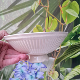 Wedgwood Edme - Fruittest
