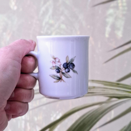 Kopje - Winterling - Bosbes