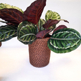 Mand Sisal Bruin - Prullenbak - Vintage