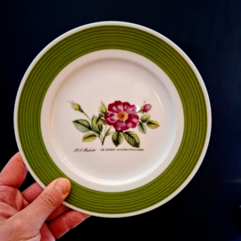 Hutschenreuther bord uit de serie P.J. Redouté Rosier Ø 20 cm