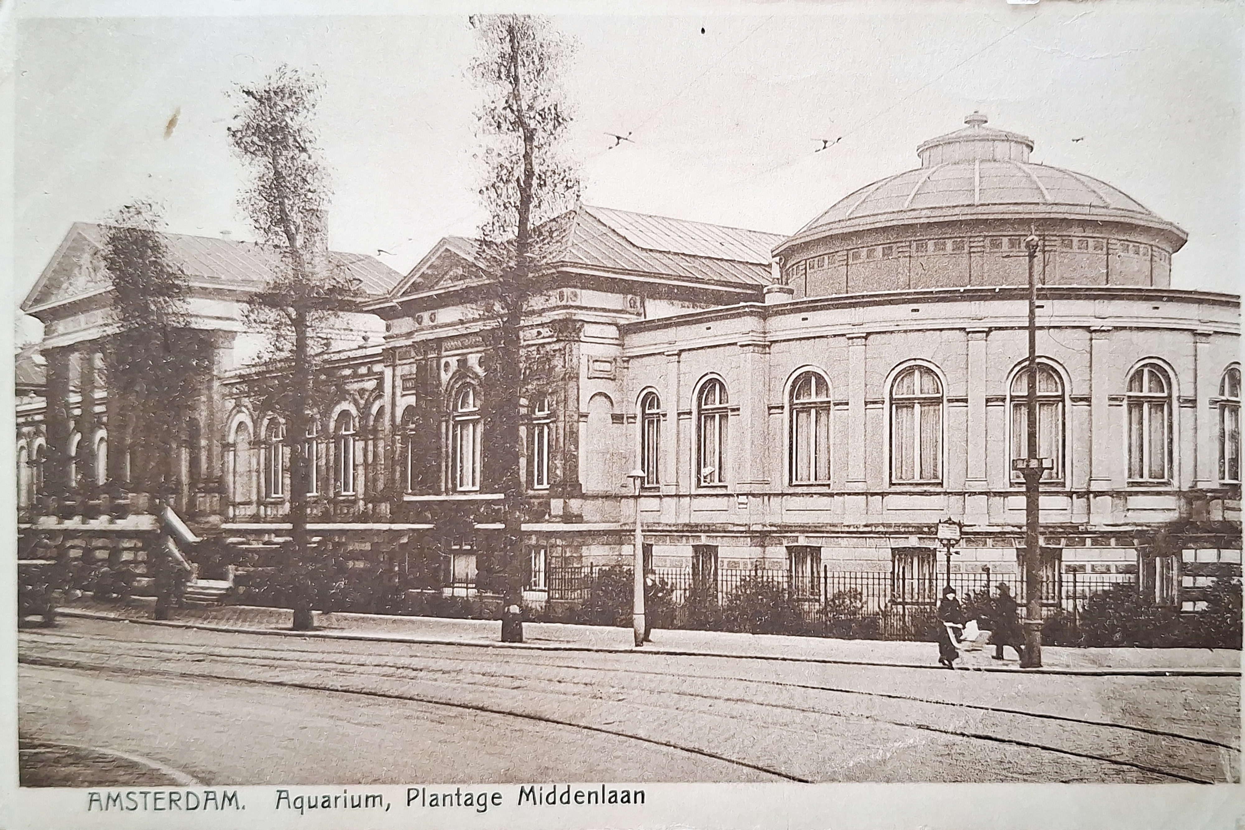 Amsterdam - Aquarium, Plantage Middenlaan - 1930/1939