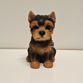 Beeldje van een Yorkshire Terrier-puppy
