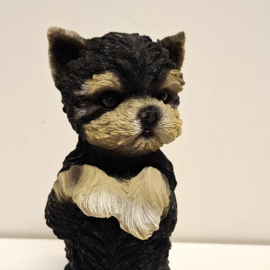 Beeldje van een Yorkshire Terrier Hondje