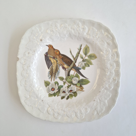 Alfred Meakin - Birds of America - Bord - Verzamelen