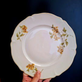 Diner Bord - Hutschenreuther Selb – Geel Bloemenpatroon – Jaren 50 – 70 – Ø 25,5 cm