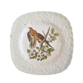 Alfred Meakin - Birds of America - Bord - Verzamelen
