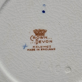 Crown Devon Grote Kop en Schotel made in England