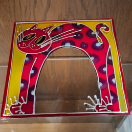 Spiegeltje Poes / Kat - Kleur - Vierkant - Glas - Spiegel