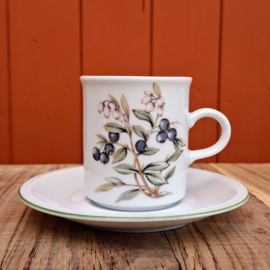 Kop en Schotel - Winterling - Bosbes