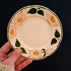 2x Gebaksbordjes Ø 16 cm -  Villeroy & Boch Wild Rose