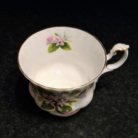 Royal Albert - Mayflower - Heren Kopje