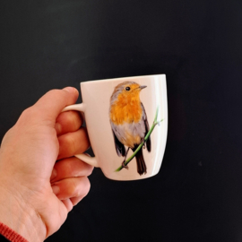 Kopje of Mok Roodborstje