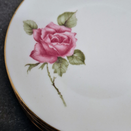 Vintage Gebakset - Taart - CoPo - Roos - Bord met 10 Kleinere bordjes