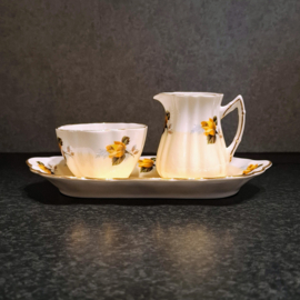 Vintage Roomsetje – Gele Roos – Rosina
