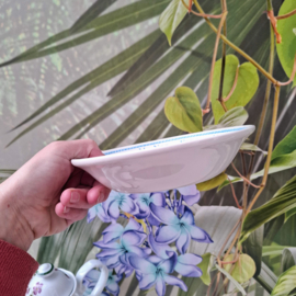 Schaaltje Libelle - Marjolein Bastin - Forget me not