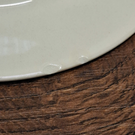 2x Gebaksbordjes Ø 16 cm -  Villeroy & Boch Wild Rose