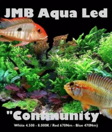 JMB Aqua Led "COMMUNITY" - WIT / BLAUW