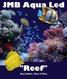 JMB Aqua Led - Wieren Filter - "REEF" - R/B - in 1W & 3W High Power