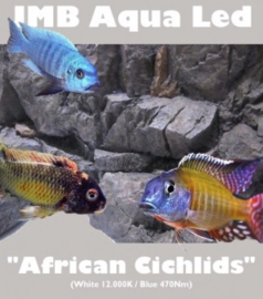 JMB Aqua Led - "AFRICAN CICHLIDS"
