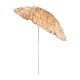 Parasol