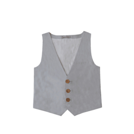 Gillet Gaston Grijs