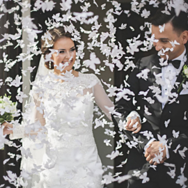 Confetti shooter - Vlinders - Wit - Groot - (1 st)